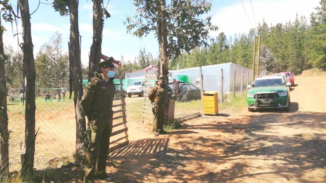 Ñuble: Una mujer y dos hombres son imputados por organizar peleas clandestinas de gallos