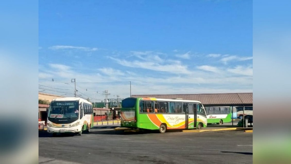 Aumentarán servicios de transporte público en O'Higgins durante el Plebiscito
