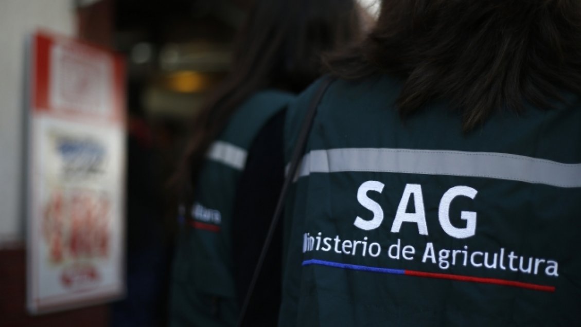 Servicio Agrícola y Ganadero abrirá en noviembre una oficina provincial en Itata