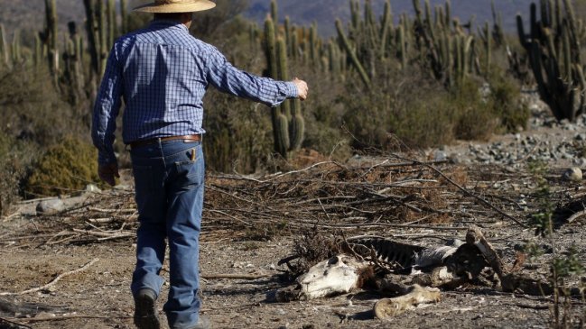 Santiago no es Chile: Los temas regionales insoslayables en la Convención Constitucional
