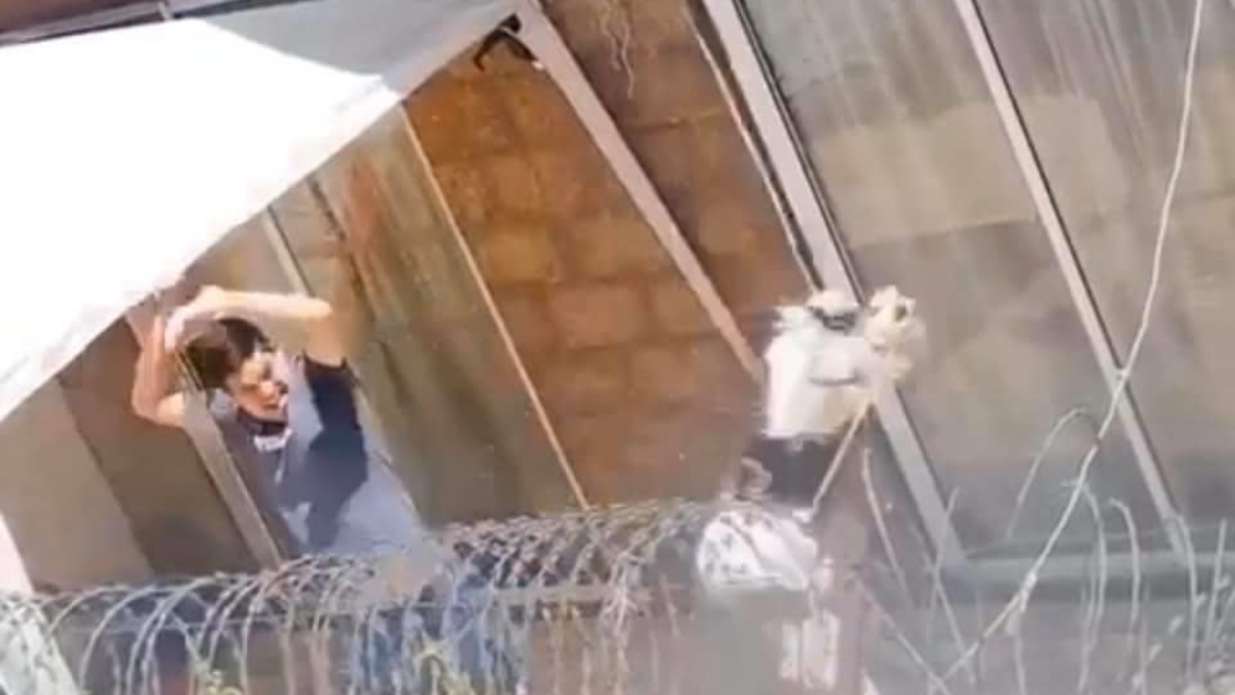 Condenan a 41 días de cárcel a hombre acusado de maltrato animal en Puente Alto