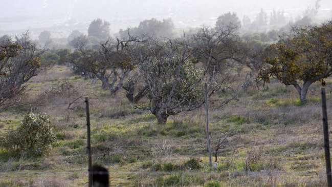 Agrupaciones rurales de Petorca llaman a derogar el Código de Aguas