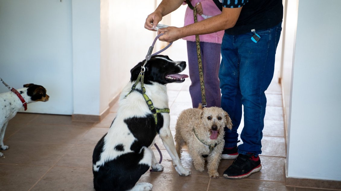 Inauguran centro médico veterinario municipal en Santa Cruz