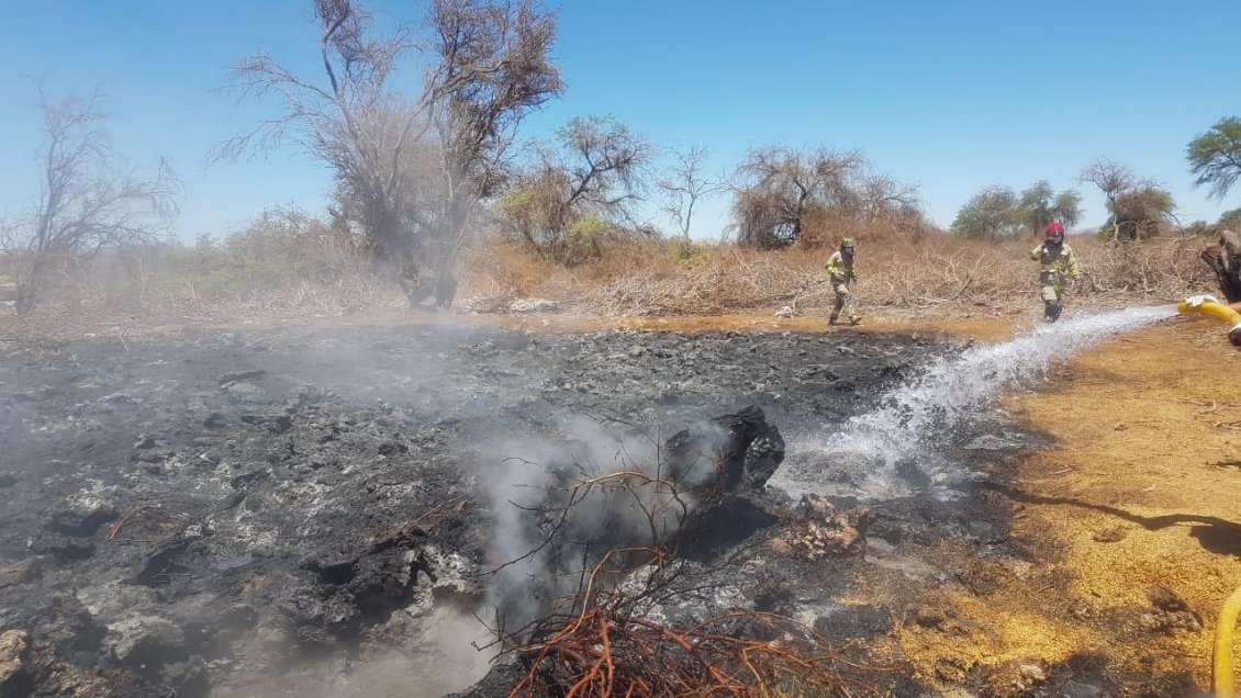 Logran extinguir incendio forestal en Reserva Pampa del Tamarugal