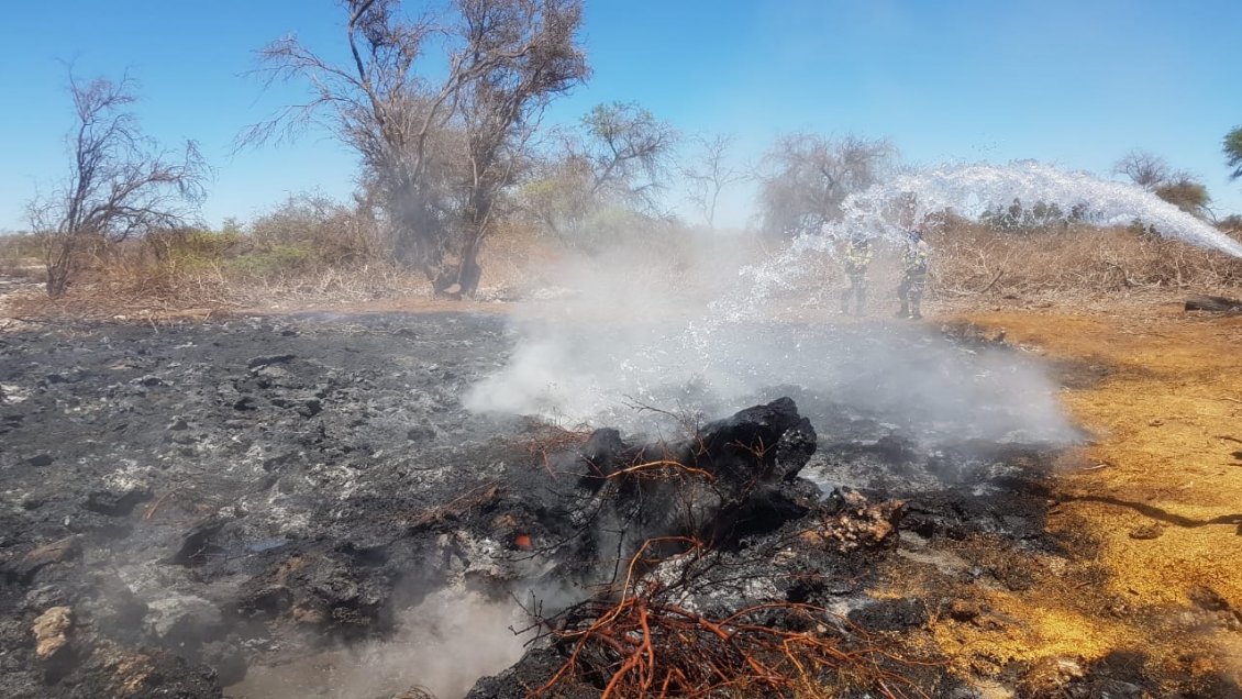 Conaf interpuso demanda por incendio forestal en Reserva Nacional Pampa del Tamarugal