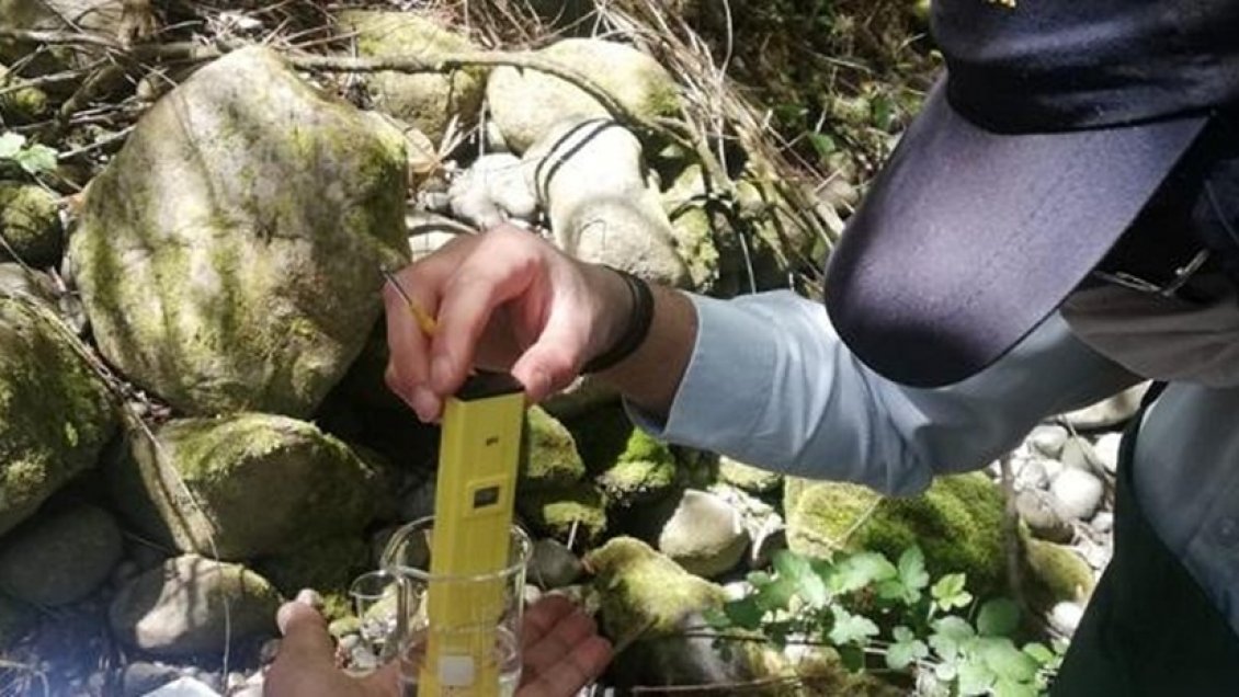 Sernapesca investiga denuncia por malos olores en el Río Pescado de la provincia de Llanquihue