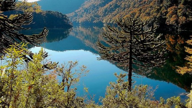 Conaf reabrió tres parques forestales en La Araucanía