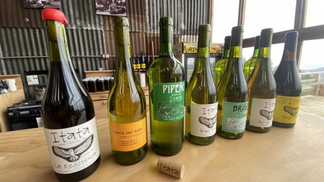 En el top 20: The New York Times destacó vino de Cobquecura