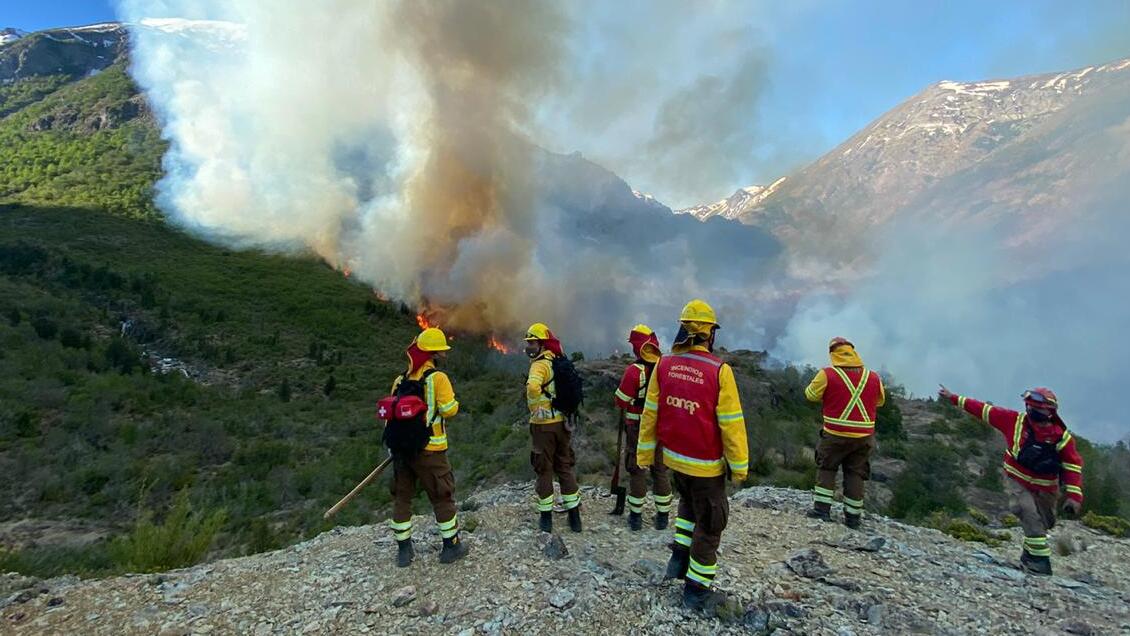 Incendio forestal al interior de la Reserva Nacional Ñuble está en fase de control
