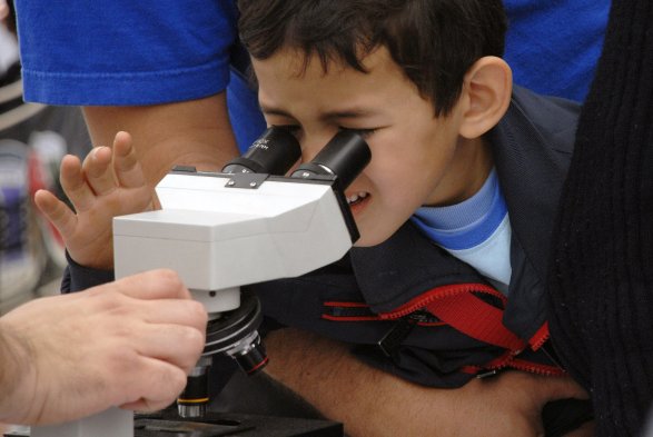 Tarapacá tendrá versión virtual del Festival de la Ciencia