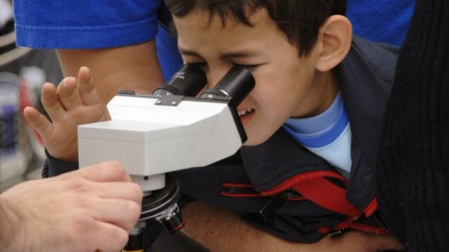 Tarapacá tendrá versión virtual del Festival de la Ciencia