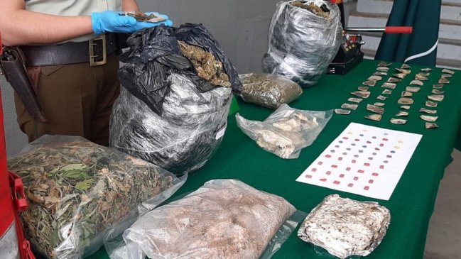 Dueños de growshop formalizados por tráfico de drogas y cultivo de marihuana en Chillán