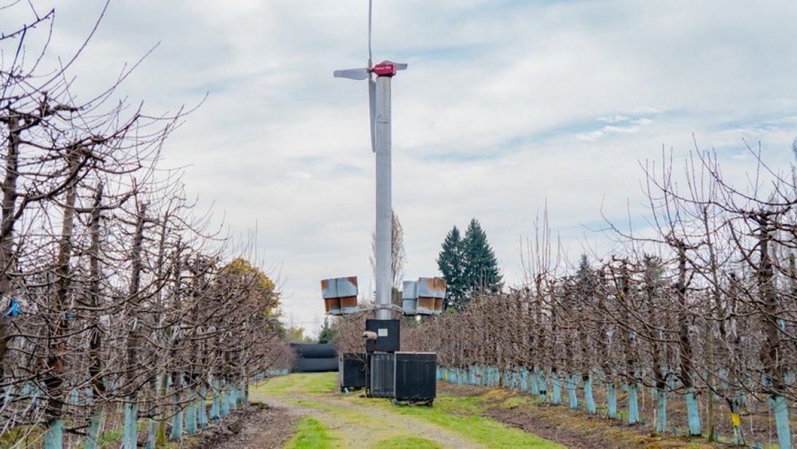 Empresa frutícola fue obligada a paralizar uso nocturno de máquinas por ruidos molestos en Chillán