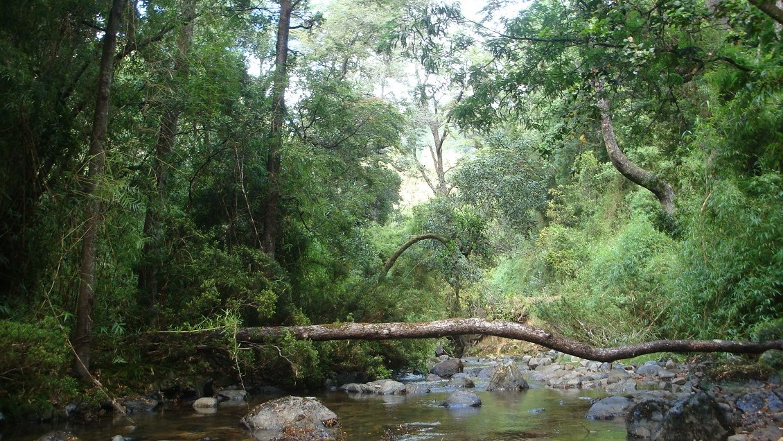 Concepción: Reserva Nonguén reabre con aforo máximo de 40 personas diarias