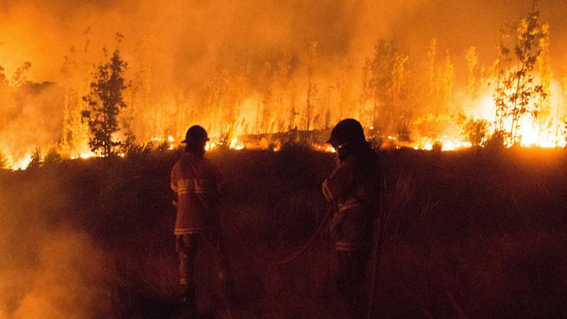Incendios forestales han aumentado 54% esta temporada en la Provincia de Concepción