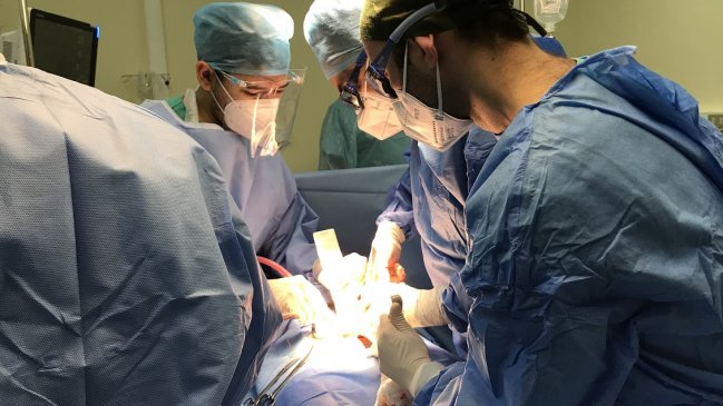 Coquimbo: Con estrictas precauciones buscan reactivar las operaciones en hospitales