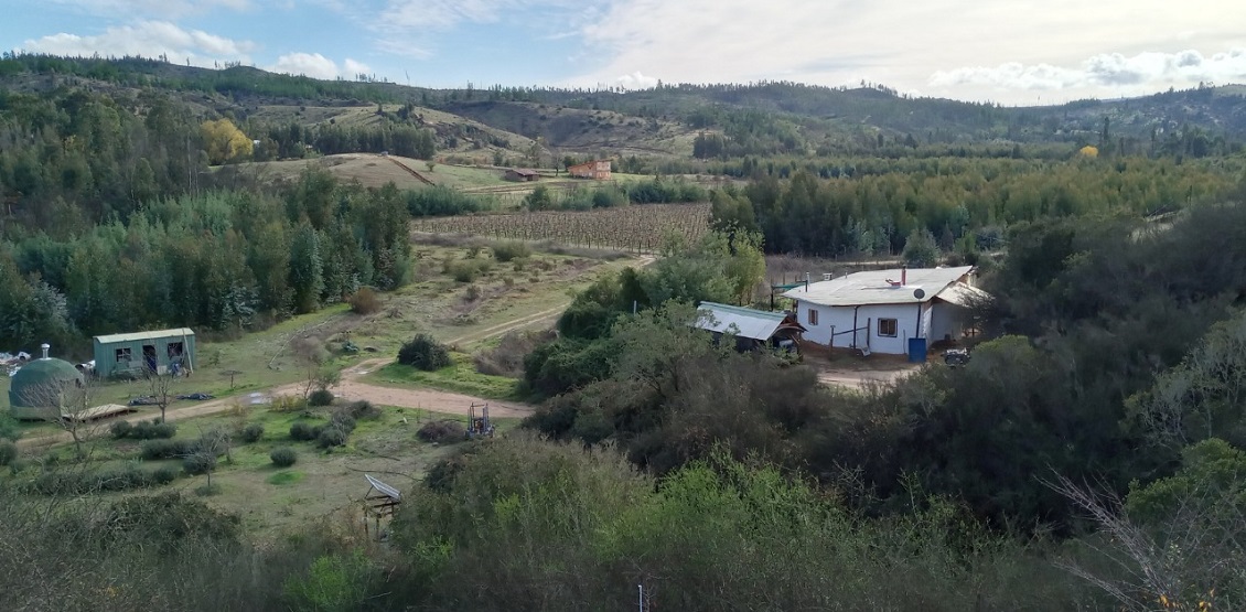 En un mes más, matrimonio de Hualañé rifará su parcela con cabañas y taller cervecero
