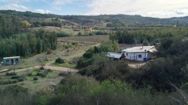 En un mes más, matrimonio de Hualañé rifará su parcela con cabañas y taller cervecero
