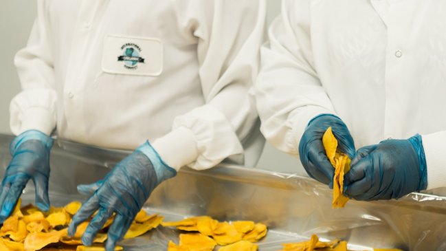 Demandan a gerentes de empresa por apostar cuántos trabajadores contraerían Covid-19