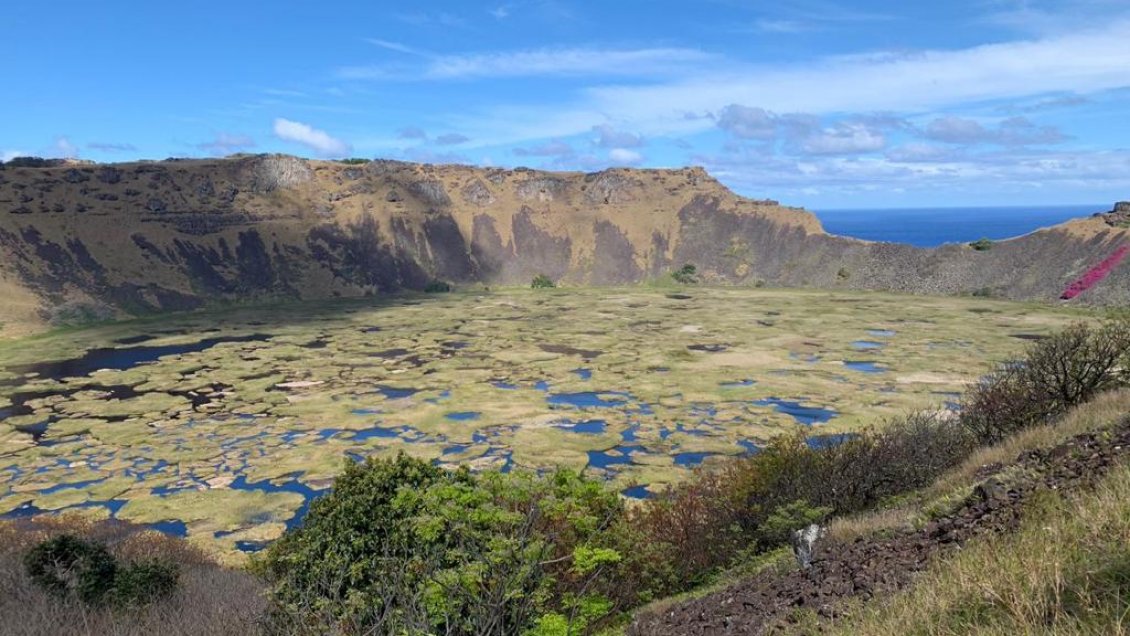 Inédito: Plantan cepas ancestrales para producir vinos en Rapa Nui