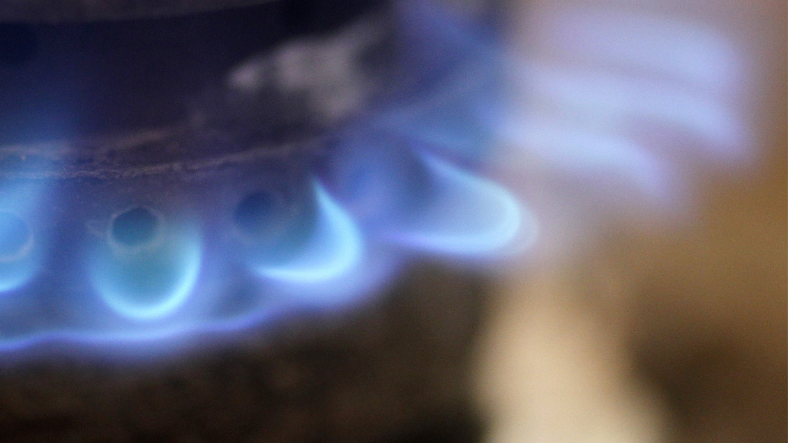 Fiscalía Económica estudiará el mercado del gas, que representa el 15% del consumo energético nacional