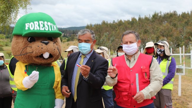 Quirihue tendrá parque urbano con 720 especies de plantas y árboles nativos
