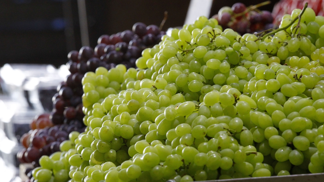 Ninhue tendrá el primer laboratorio enológico de la Provincia del Itata