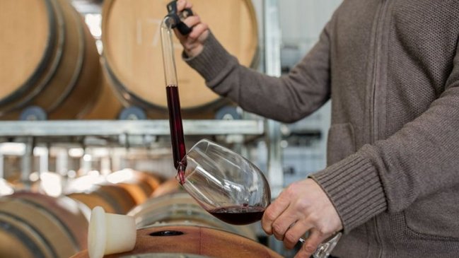 Este sábado se celebra el día el Día del Enólogo: conoce su labor