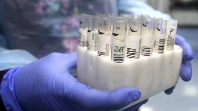 DEIS: 20.439 las personas fallecidas por Covid-19 en Chile, entre casos confirmados y probables