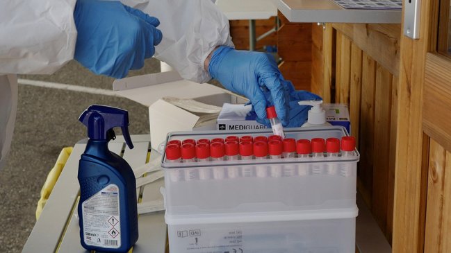 Detectan cepa de gripe aviar en una granja de pavos en Inglaterra