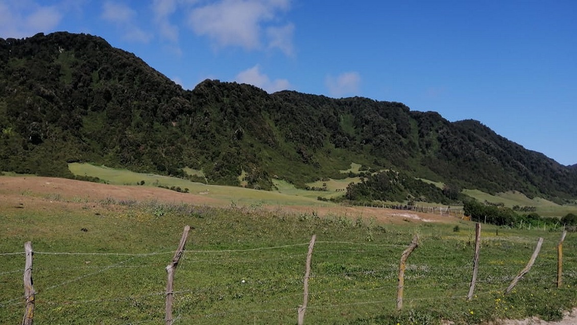 Habitantes de Isla Mocha irán a la justicia: Buscan evitar ingreso de turistas para el eclipse