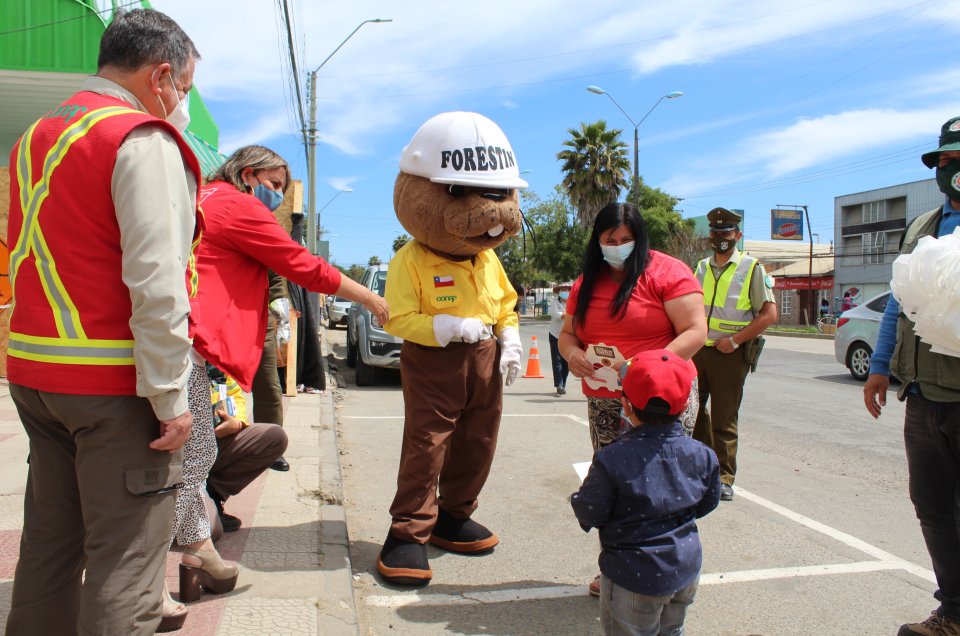 Itata registra un 10% más de incendios forestales que en la temporada pasada
