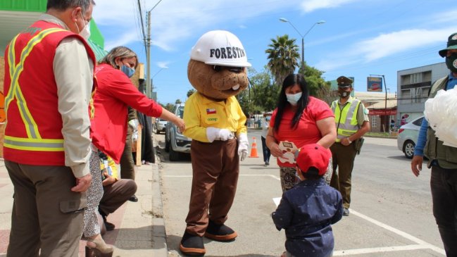 Itata registra un 10% más de incendios forestales que en la temporada pasada