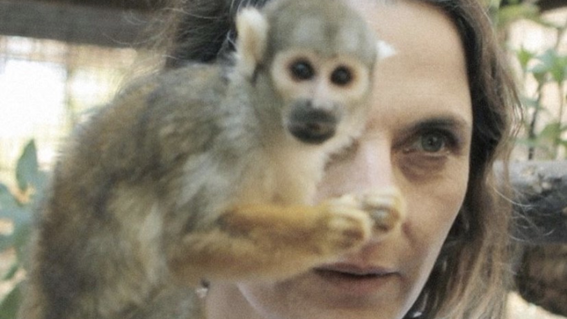 Antonia Zegers estrena unipersonal 