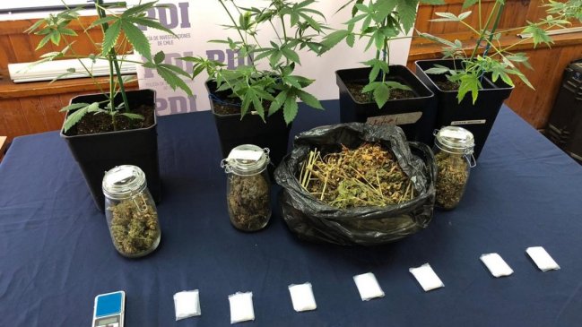 Operación Látigo: En Chillán detuvieron a sujeto con casi tres kilos de marihuana procesada
