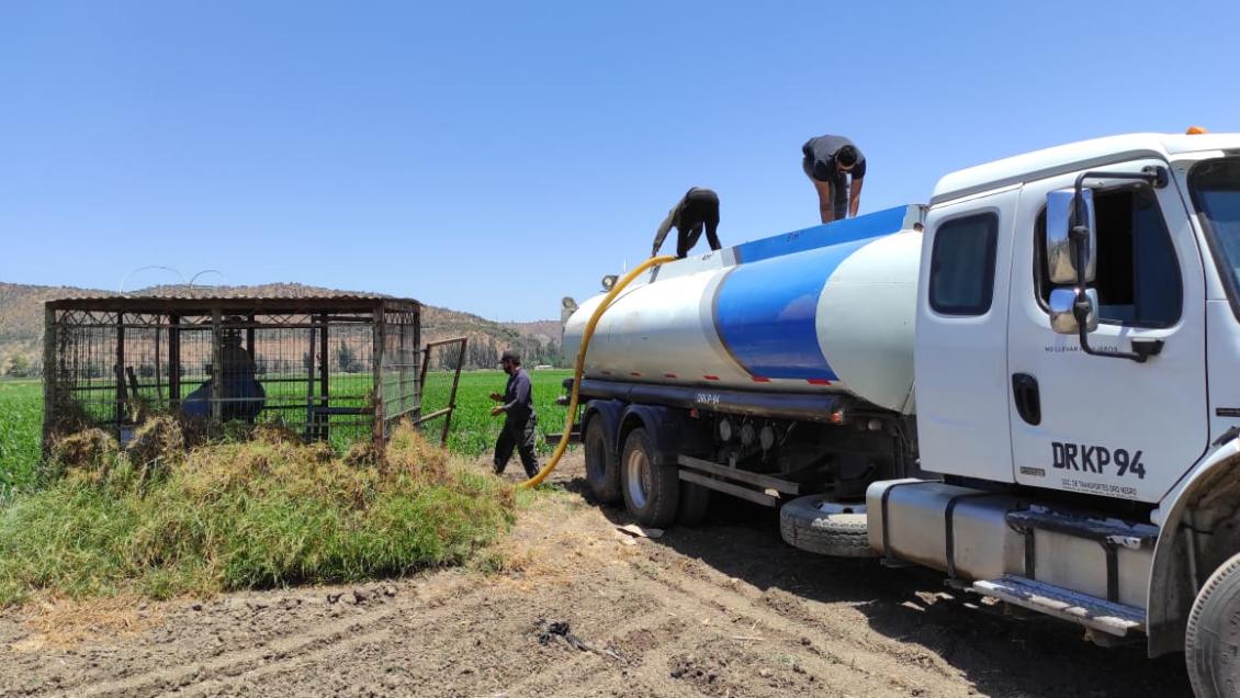 Agricultura declaró zona de emergencia agrícola en Curacaví y María Pinto