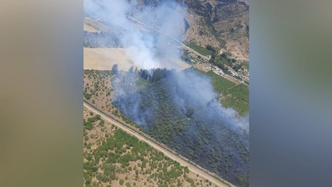 Declaran alerta roja para Lolol por incendio forestal