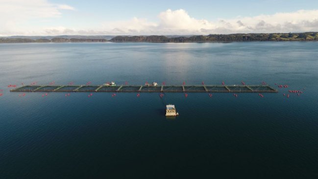 Mowi por cargos de sobreproducción en centro 