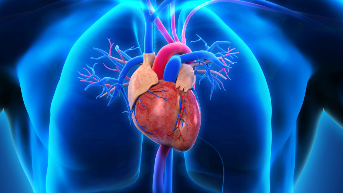 Investigador propone novedoso método para detectar afecciones cardiacas