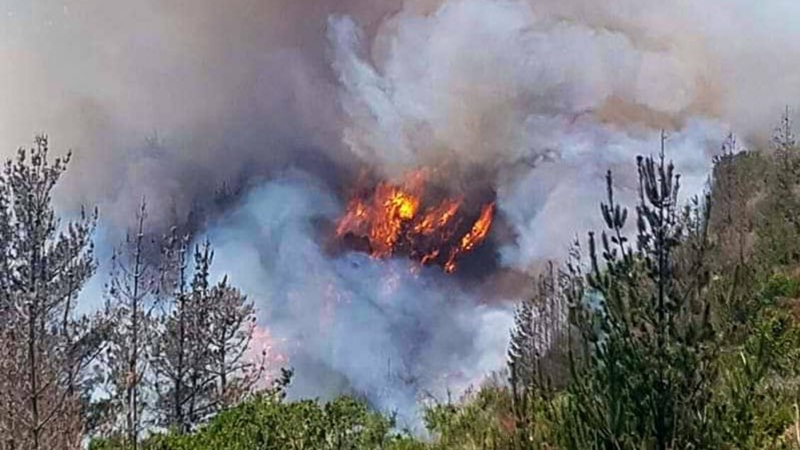 Onemi declara Alerta Roja por incendio forestal en Laguna Verde