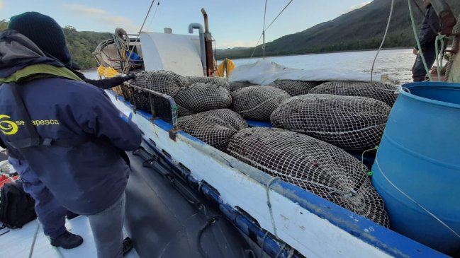 Armada decomisó nueve toneladas de luga roja extraída ilegalmente en Aysén