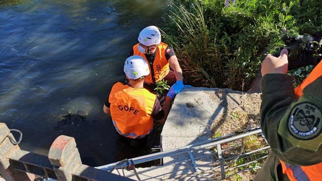 Cadáver masculino fue hallado en el 