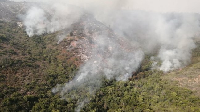 Alrededor de 280 hectáreas quemadas deja el incendio forestal en Quilpué