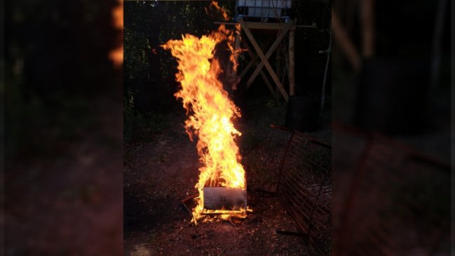 Apicultor denuncia que fumigación lo obligó a quemar 2,5 millones de abejas