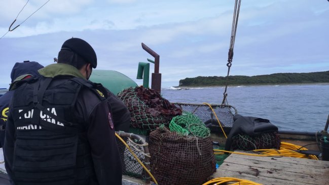 Embarcaciones fueron sorprendidas extrayendo algas de manera ilegal en Aysén