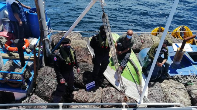 Incautaciones de luga roja extraída ilegalmente en Aysén suman 20 toneladas en 10 días