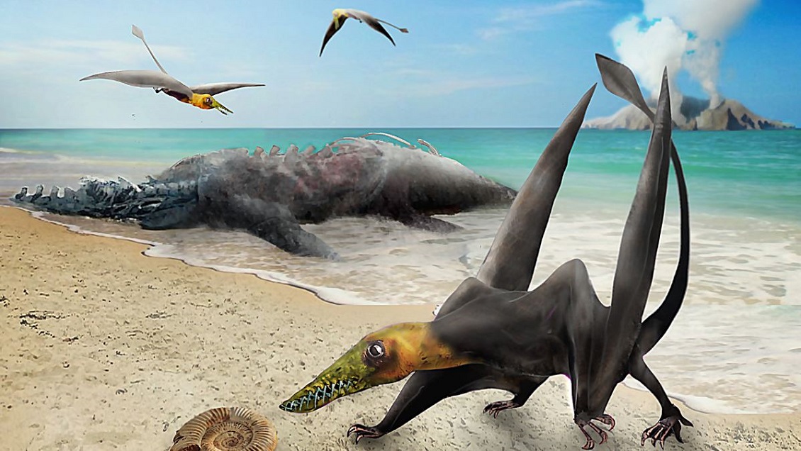 Pterosaurios de Chile: Los 