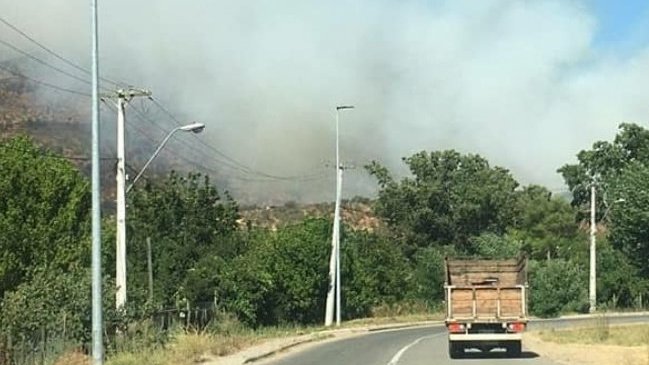 Intendencia decretó alerta roja en Curacaví por incendio forestal