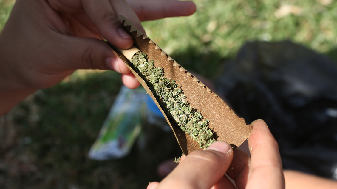 Mayoría de automovilistas que dieron positivo en el narcotest fue por consumo de marihuana