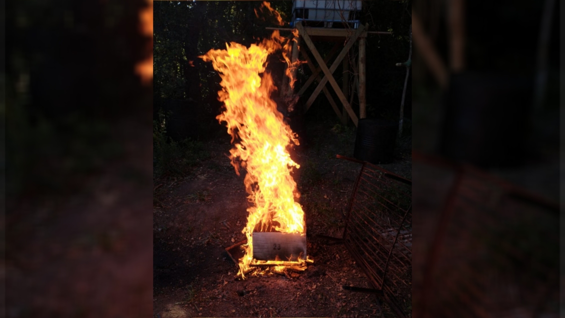 Tomé: Declaran admisible querella de apicultor que acusa mortandad de 2,5 millones de abejas por fumigación